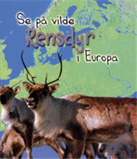 Cover for Elizabeth Miles · Se på vilde dyr: Se på vilde rensdyr i Europa (Bound Book) [1st edition] (2006)