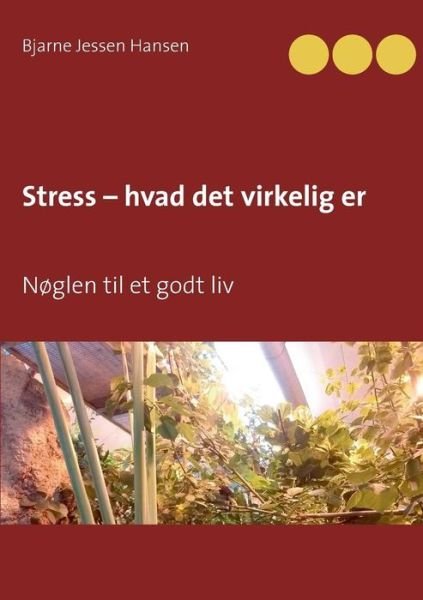 Cover for Bjarne Jessen Hansen · Stress – hvad det virkelig er (Paperback Book) [1st edition] (2016)