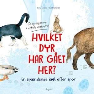 Cover for Svenja Ernsten · Hvilket dyr har gået her? Se dyresporene i virkelig størrelse! (Hardcover Book) [1st edition] (2023)