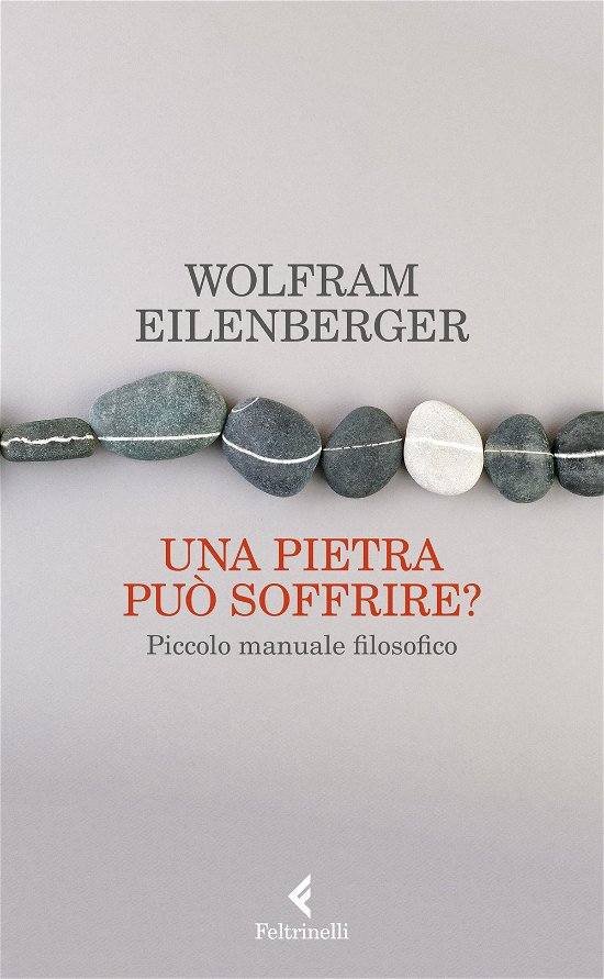 Cover for Wolfram Eilenberger · Una Pietra Puo Soffrire? Piccolo Manuale Filosofico (Buch)