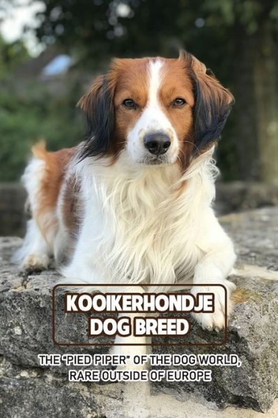 Cover for Caris Michelle · Kooikerhondje Dog Breed: The &quot;Pied Piper&quot; of The Dog World, Rare Outside of Europe: Kooikerhondje Breed Information, Characteristics and Heath (Paperback Book) (2021)