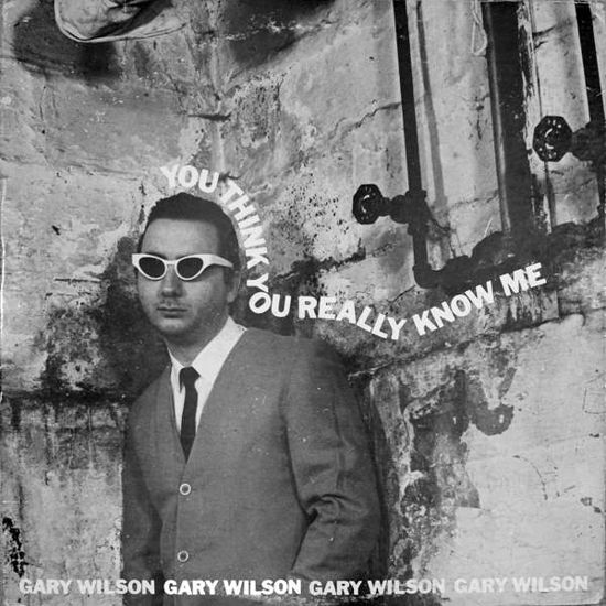 Cover for Gary Wilson · You Think You Really Know Me (LP) (2016)