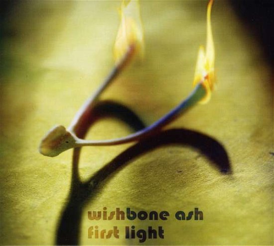 First Light - Wishbone Ash - Musik - SANCTUARY PRODUCTIONS - 0060768644823 - 12. Dezember 2012