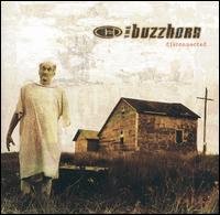 Disconnected-Buzzhorn - Buzzhorn - Musik - Atlantic - 0075678354823 - 6. august 2002