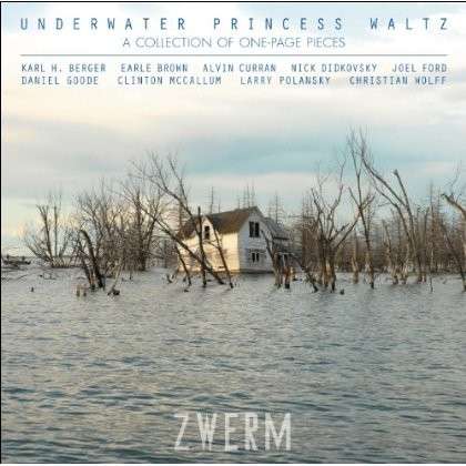 Cover for Zwerm  Guitar Quartet · Underwater Princess Waltz (CD) (2013)