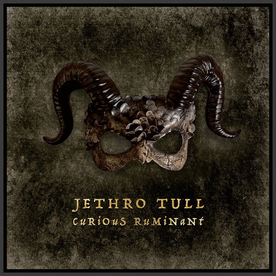 Cover for Jethro Tull · Curious Ruminant (CD) [Digipak] (2025)