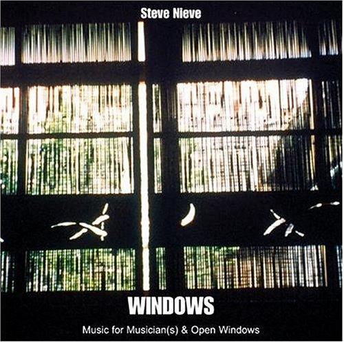 Window - Steve Nieve - Musik - VALLEY ENTERTAINMENT - 0618321518823 - 26. Oktober 2004