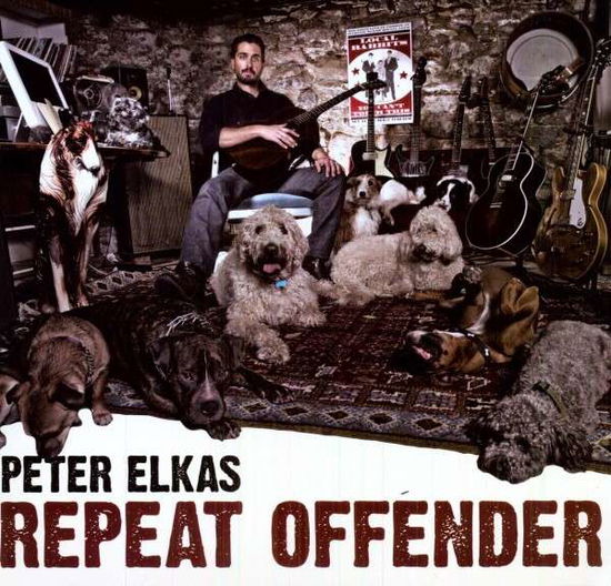 Repeat Offender - Peter Elkas - Music - ROCK - 0620953424823 - March 1, 2011