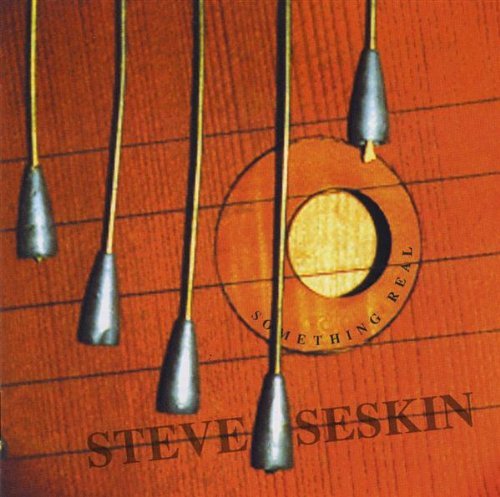 Something Real - Steve Seskin - Musik - CD Baby - 0638533010823 - 4. september 2001