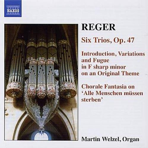 REGER: Organ Works . 6 - Martin Welzel - Musikk - Naxos - 0747313233823 - 5. september 2005