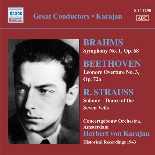 Symphony No.1 - Brahms / Beethoven - Musique - NAXOS - 0747313329823 - 27 novembre 2008
