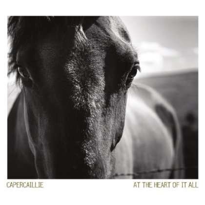 Cover for Capercaillie · At the Heart of It All (CD) (2013)