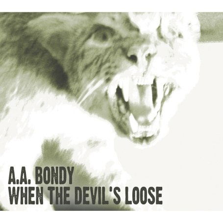 When The DevilS Loose - A.a. Bondy - Musiikki - FAT POSSUM RECORDS - 0767981119823 - maanantai 26. lokakuuta 2009