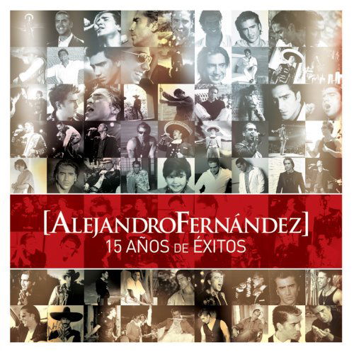 15 Años De Exitos - Fernandez Alejandro - Music - SON - 0886971794823 - December 6, 2007