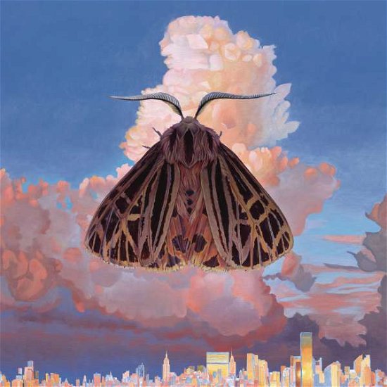 Cover for Chairlift · Moth (CD) (2016)