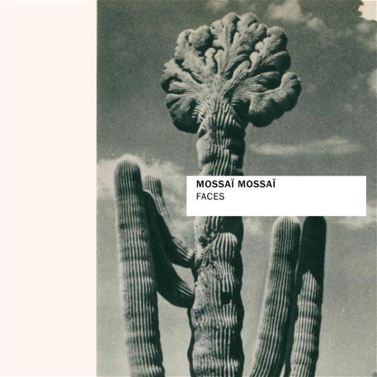 Cover for Mossai Mossai · Faces (CD) (2023)