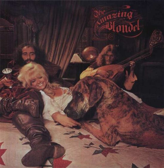 Cover for Amazing Blondel · &amp; a Few Faces (LP) (2013)