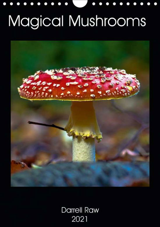 Magical Mushrooms (Wall Calendar 20 - Raw - Boeken -  - 9781325572823 - 