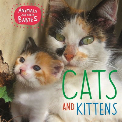 Cover for Annabelle Lynch · Animals and their Babies: Cats &amp; kittens - Animals and their Babies (Paperback Book) [Illustrated edition] (2019)