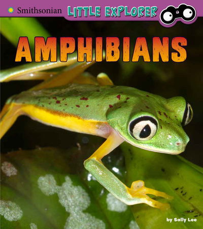 Cover for Sally Lee · Amphibians (Hardcover Book) (2018)