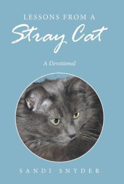 Cover for Sandi Snyder · Lessons from a Stray Cat (Hardcover Book) (2016)