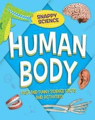 Cover for Paul Mason · Quick Fix Science: Human Body - Quick Fix Science (Paperback Bog) (2022)