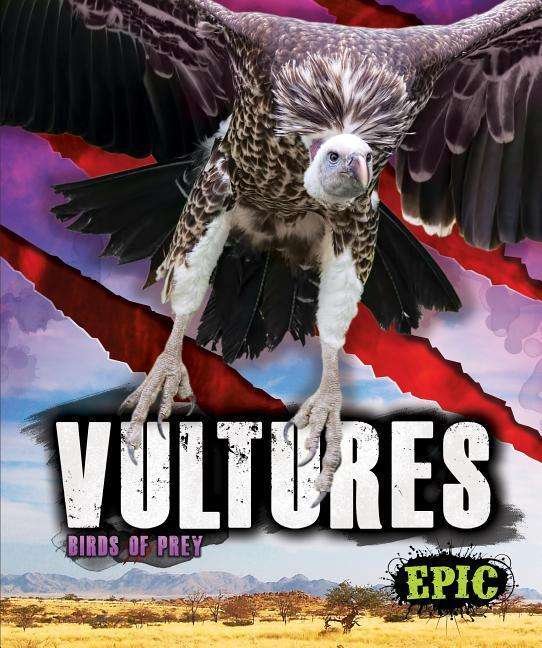 Vultures - Birds of Prey - Nathan Sommer - Books - Bellwether Media - 9781626178823 - October 17, 2019