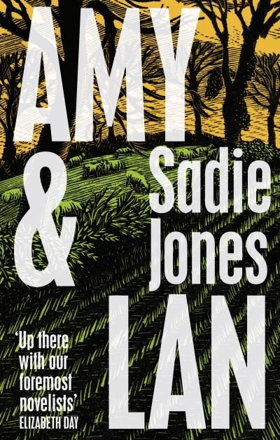 Amy and Lan: The enchanting new novel from the Sunday Times bestselling author of The Outcast - Sadie Jones - Bøker - Random House - 9781784744823 - 7. juli 2022