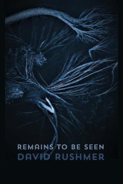 Cover for David Rushmer · Remains to Be Seen (Paperback Book) (2018)