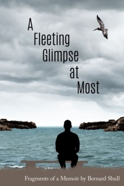 Cover for Bernard Shull · Fleeting Glimpse at Most (Book) (2022)