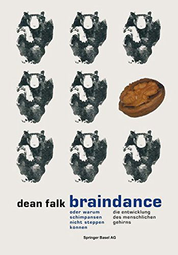 Cover for Professor Dean Falk · Braindance Oder Warum Schimpansen Nicht Steppen Koennen: Die Evolution Des Menschlichen Gehirns (Paperback Book) [Softcover Reprint of the Original 1st 1994 edition] (2014)
