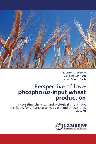 Cover for Javaid Ahmed Shah · Perspective of Low-phosphorus-input Wheat Production: Integrating Chemical and Biological Phosphatic Fertilizers for Enhanced Wheat Yield and Phosphorus Uptake (Paperback Bog) (2013)
