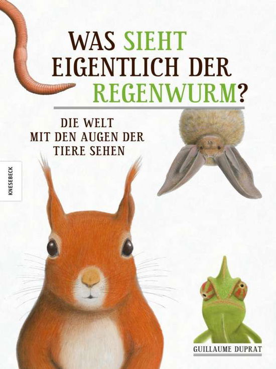 Cover for Duprat · Was sieht eigentlich der Regenwu (Book)