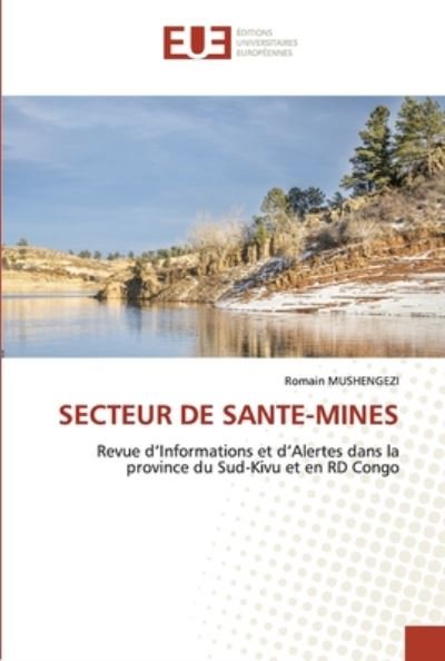 Cover for Mushengezi · Secteur De Sante-mines (Bok) (2020)