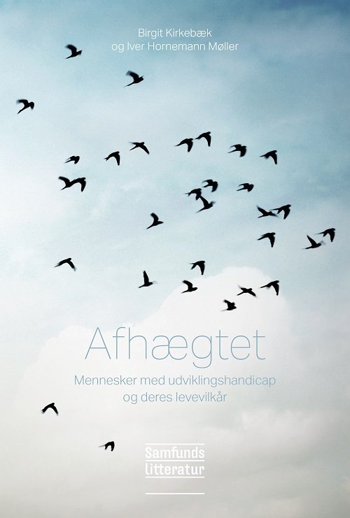 Cover for Birgit Kirkebæk og Iver Hornemann Møller · Afhægtet (Paperback Book) [1e uitgave] (2020)