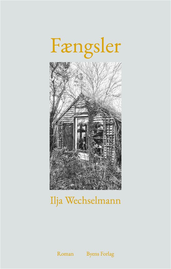 Cover for Ilja Wechselmann · Fængsler (Heftet bok) [1. utgave] (2020)