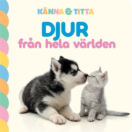Cover for Lena Wickenberg · Djur från hela världen (Board book) (2024)
