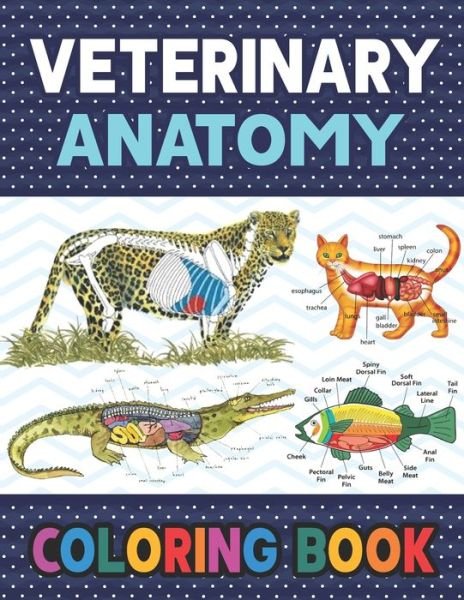 Cover for Publication Darkeylone Publication · Veterinary Anatomy Coloring Book: Fun and Easy Veterinary Anatomy Coloring Book for Kids. The New Surprising Magnificent Learning Structure For Veterinary Anatomy Students. Dog Cat Horse Frog Anatomy Coloring book. Vet tech &amp; Zoology Coloring Books. (Pocketbok) (2020)