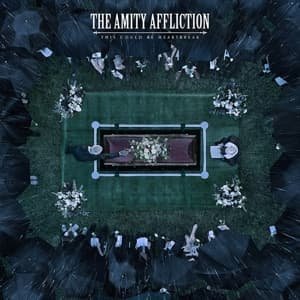 Cover for Amity Affliction · This Could Be Heartbreak (CD) (2016)