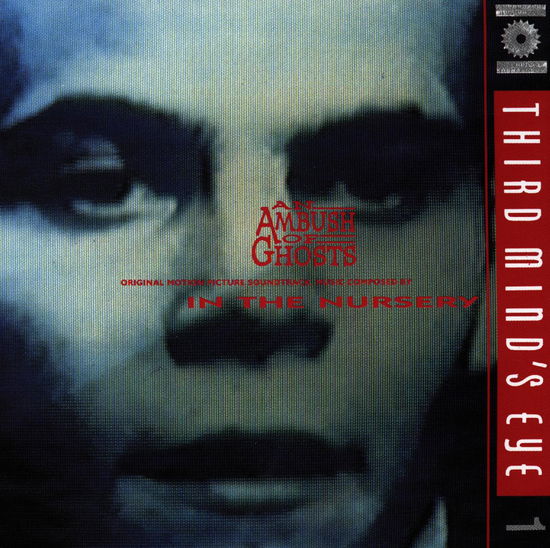 Cover for In The Nursery · In the Nursery-an Ambush of Ghosts (CD) (1993)