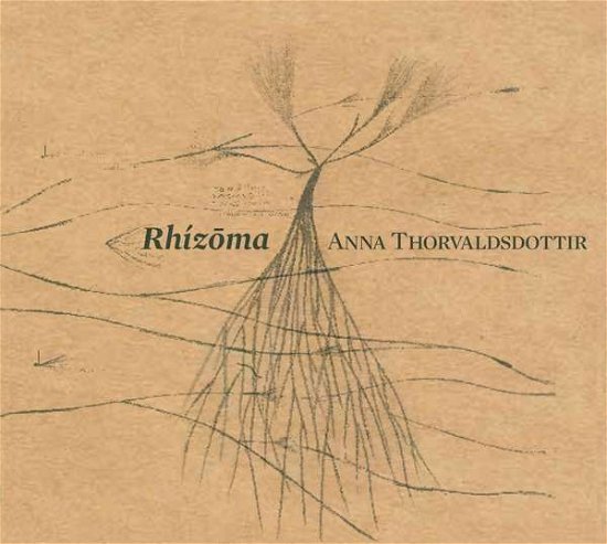 Rhizoma - Thorvaldsdottir / Caput Ensemble / Bjarnason - Muziek - SONO LUMINUS - 0053479701824 - 23 oktober 2020