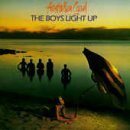 Cover for Australian Crawl · Boys Light Up (CD) (1990)