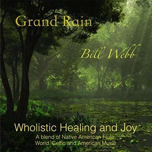 Grand Rain - Bill Webb - Musikk - Bill Webb Music - 0190394284824 - 14. februar 2016