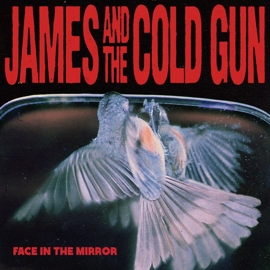 Cover for James And The Cold Gun · Face in the Mirror (LP) (2025)