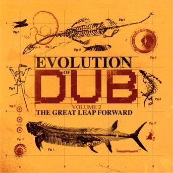 Cover for Aggrovators · Evolution Of Dub Vol.2 (CD) (2014)