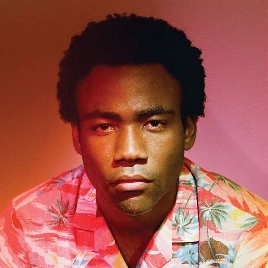 Cover for Childish Gambino · Because the Internet (CD) (2013)