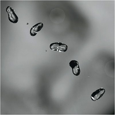 Cover for Peter Gabriel · Up (CD) [Enhanced edition] (2002)