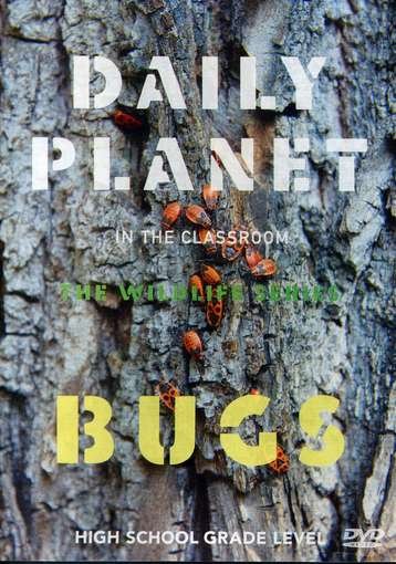 Bugs - Bugs - Movies -  - 0631865418824 - February 7, 2012