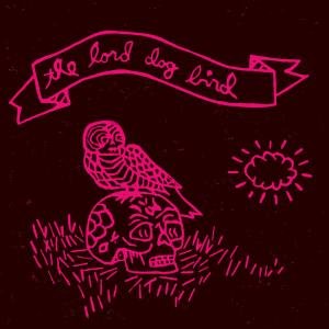 Cover for Lord Dog Bird · Lord Dog Bird Project (CD) (2008)