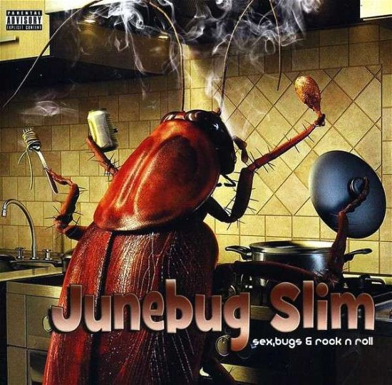 Sex, Bugs & Rock N Roll - Junebug Slim - Musik - BLACK MARKET - 0736888138824 - 15. Oktober 2013